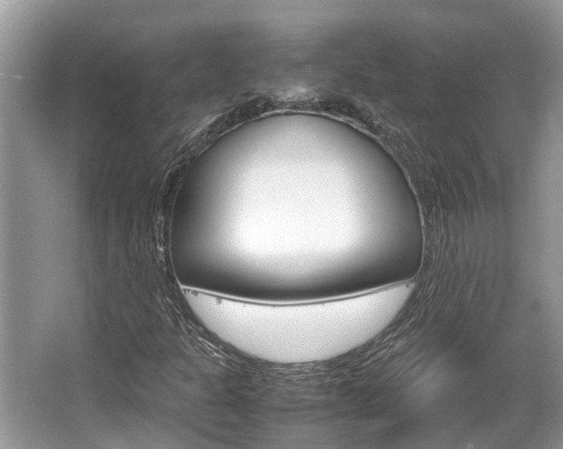 X0000067341301200603310914