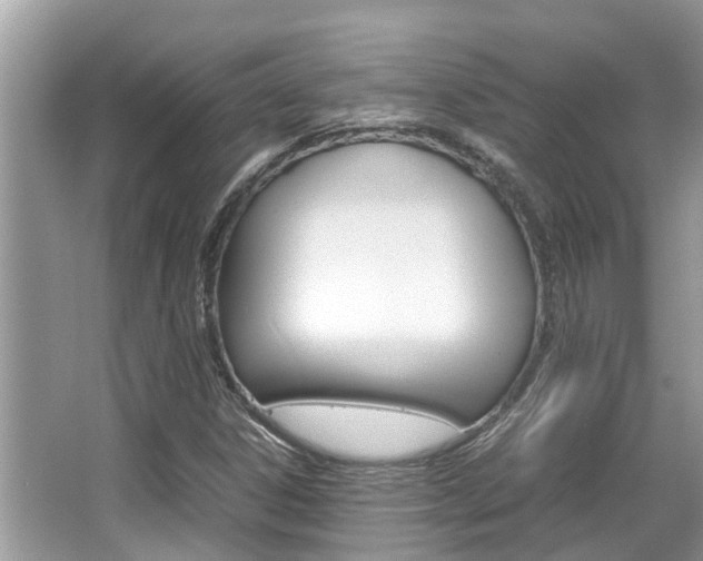 X0000067341306200603310914