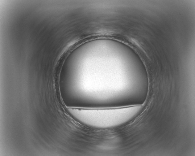 X0000067341307200603310914