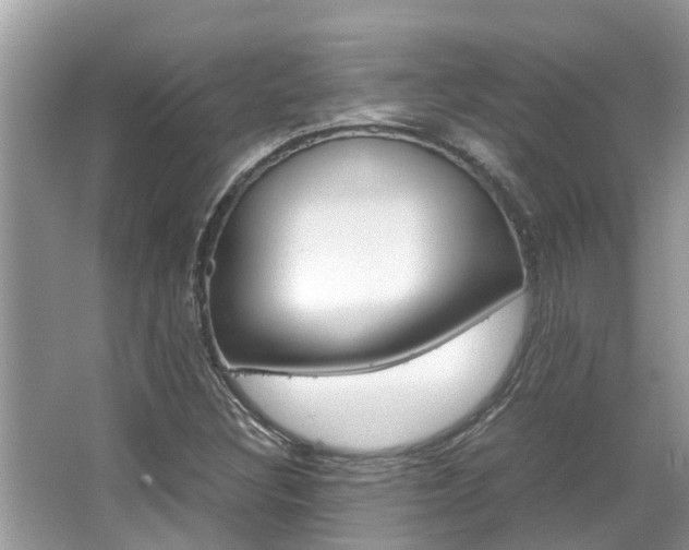 X0000067341308200603310914