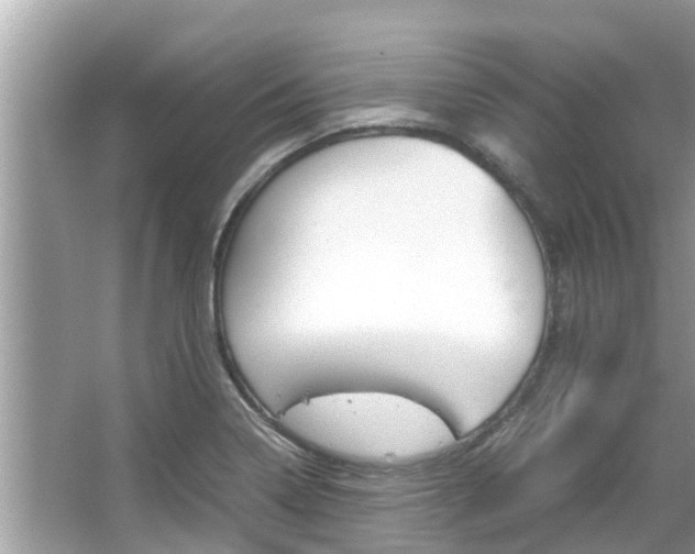 X0000067341322200603310914