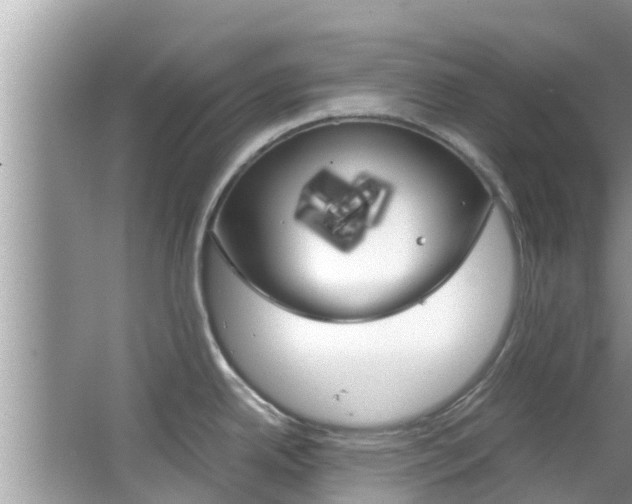 X0000067341342200603310915