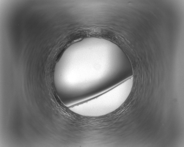 X0000067341345200603310914