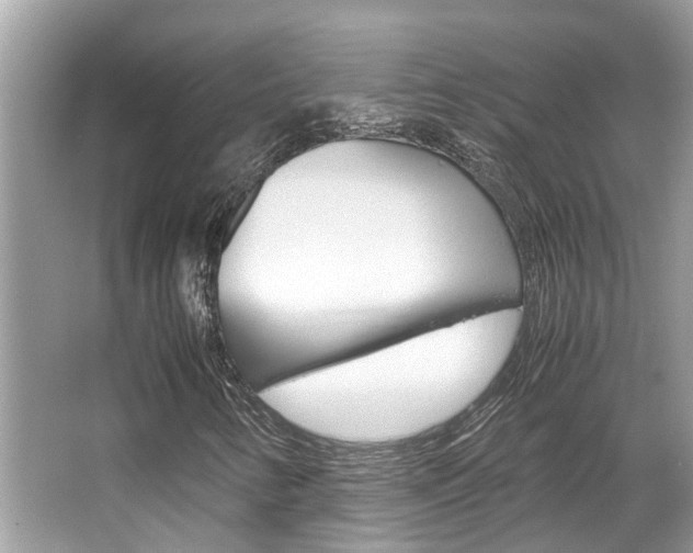 X0000067341346200603310914