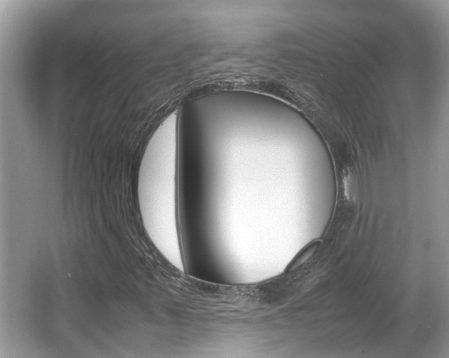 X0000067341347200603310914