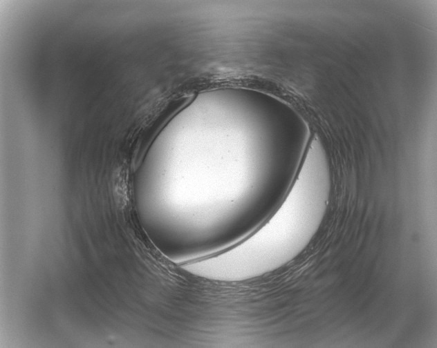 X0000067341348200603310914