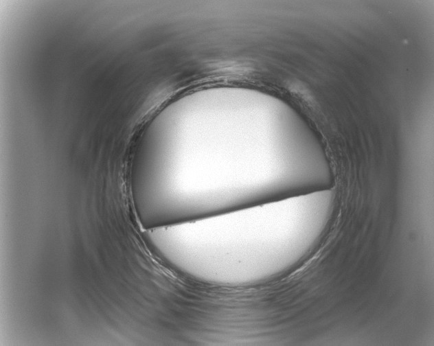 X0000067341354200603310914