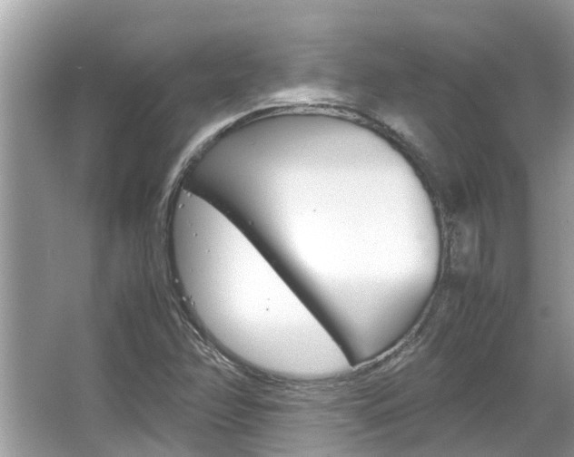 X0000067341358200603310914
