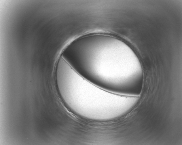 X0000067341367200603310913