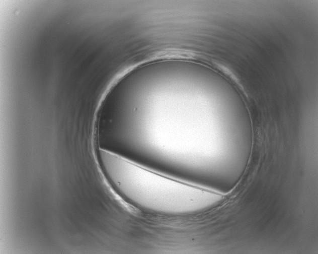 X0000067341379200603310913