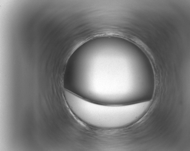 X0000067341385200603310913