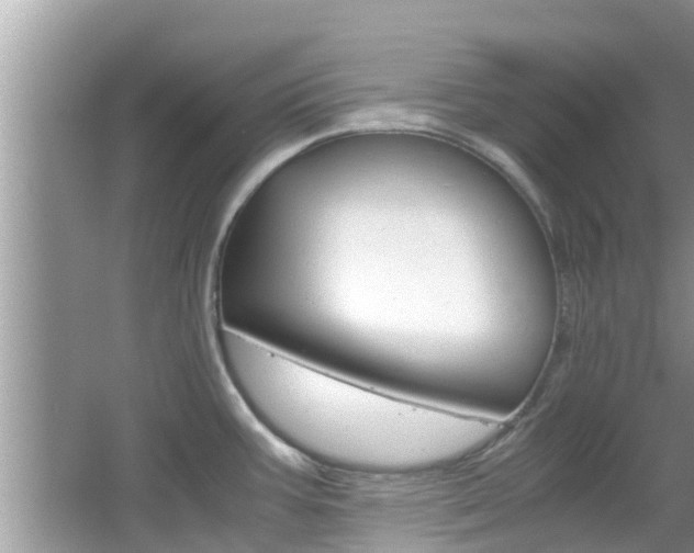 X0000067341387200603310913