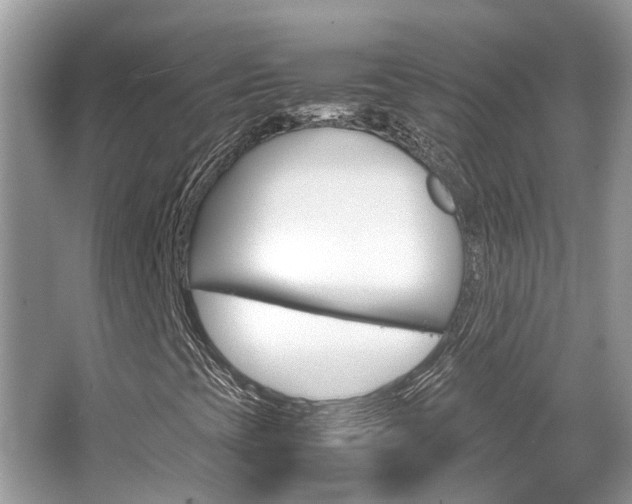 X0000067341393200603310912