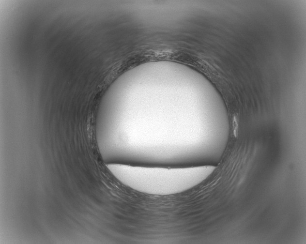 X0000067341395200603310912
