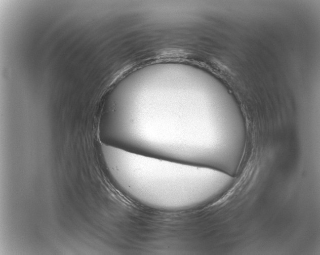X0000067341401200603310912