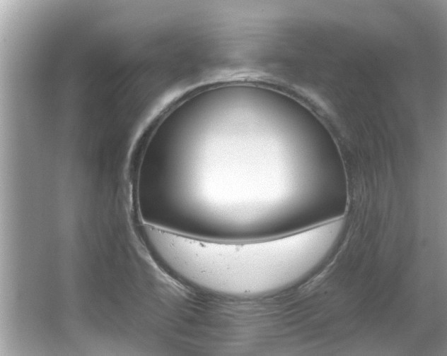 X0000067341414200603310913