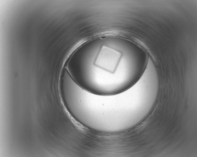 X0000067341426200603310913