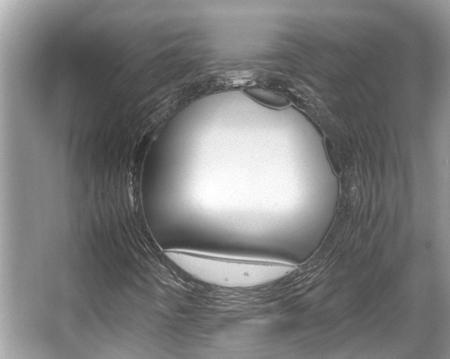 X0000067341442200603310912