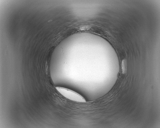 X0000067341443200603310912