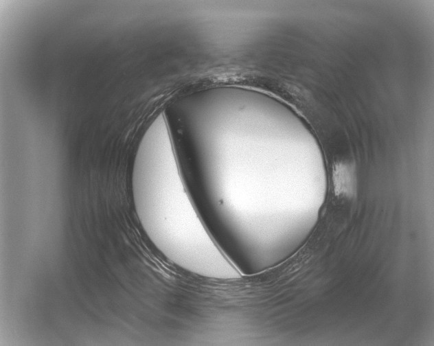 X0000067341444200603310912