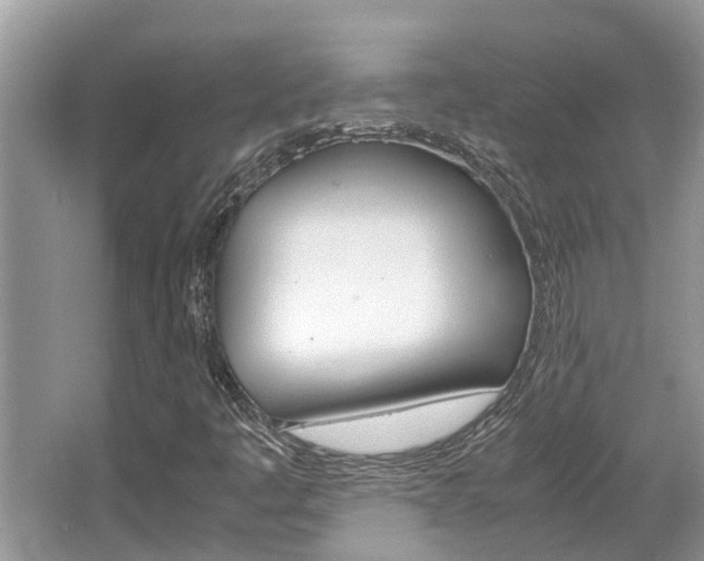 X0000067341445200603310912