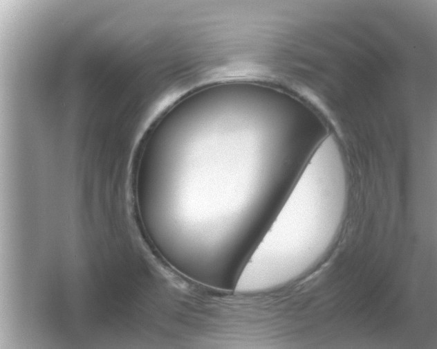 X0000067341469200603310912