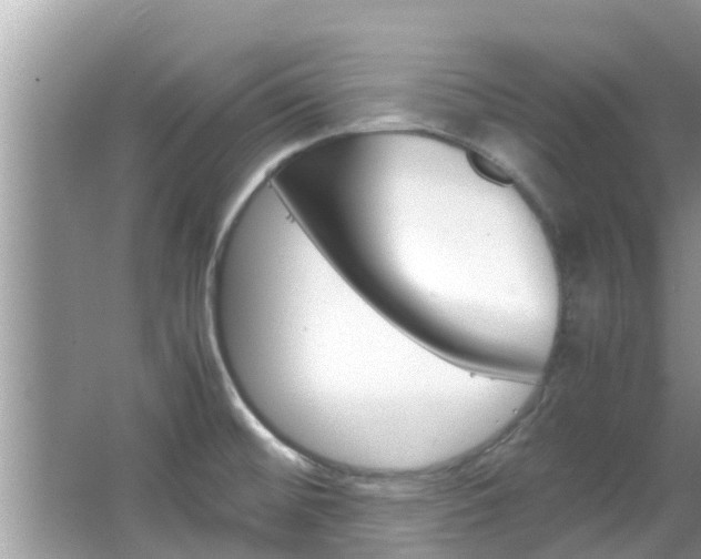 X0000067341476200603310912