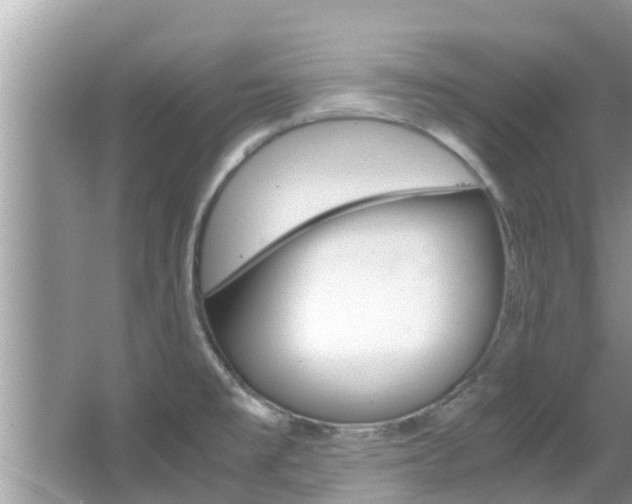 X0000067341477200603310912