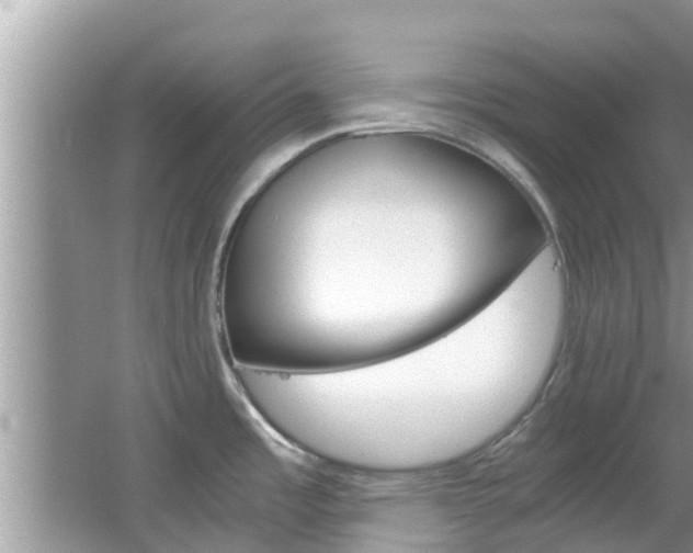X0000067341485200603310911