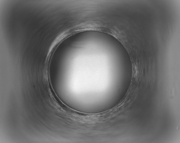 X0000067340004200603311138