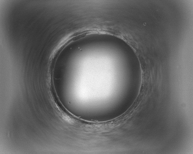 X0000067340005200603311138