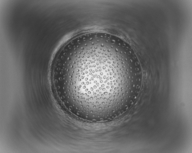 X0000067340006200603311138