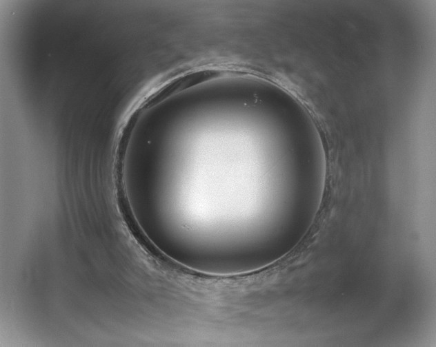 X0000067340007200603311138
