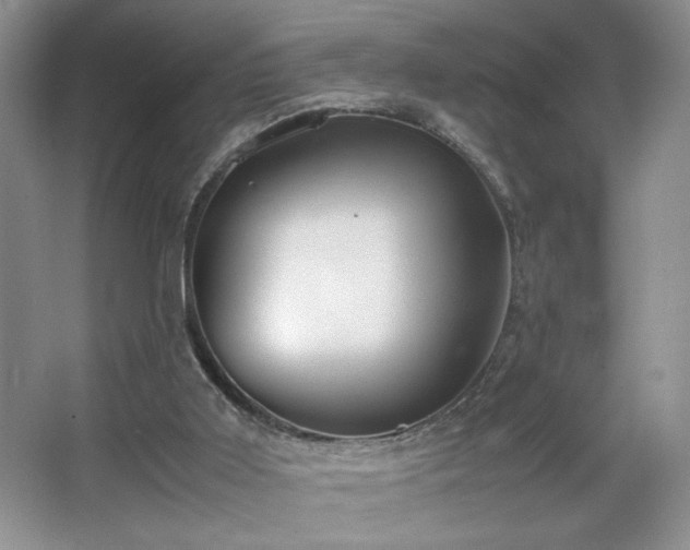 X0000067340011200603311138