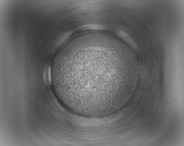 X0000067340014200603311138