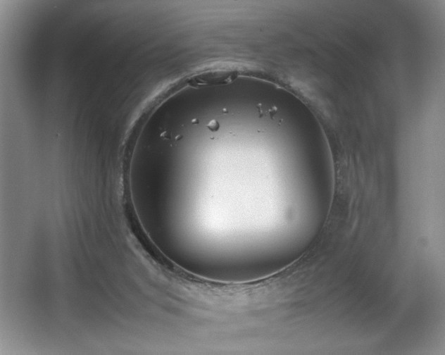 X0000067340015200603311138