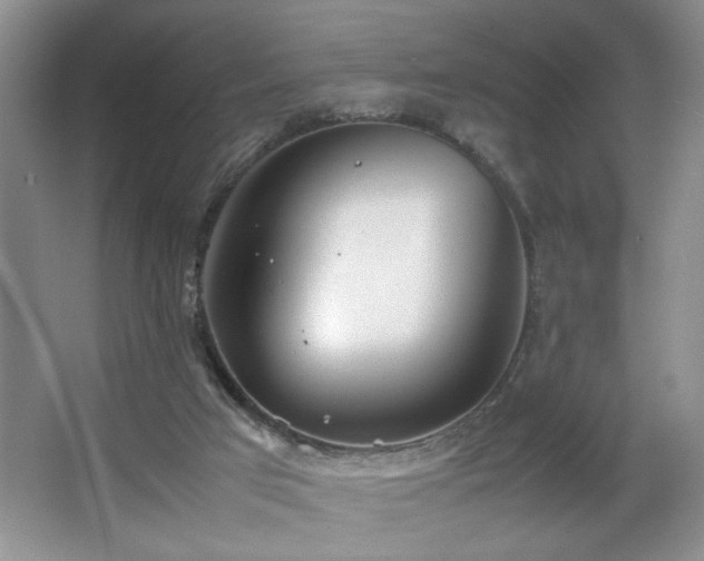 X0000067340017200603311138