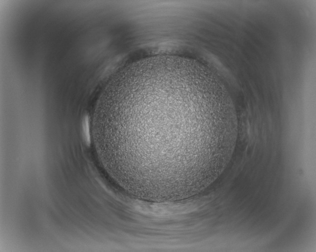 X0000067340022200603311138