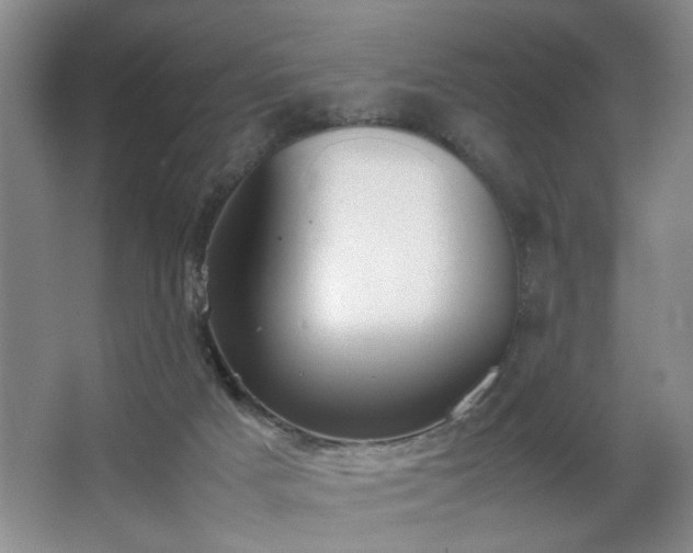 X0000067340025200603311138
