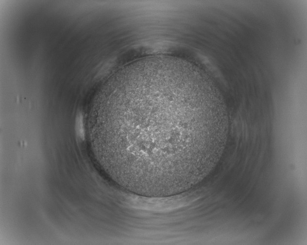 X0000067340026200603311138