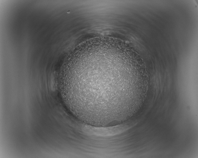 X0000067340030200603311138