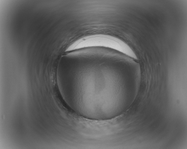 X0000067340031200603311138