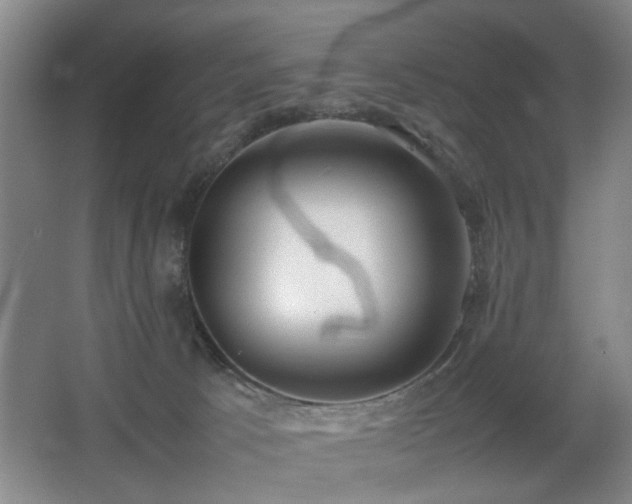 X0000067340033200603311138