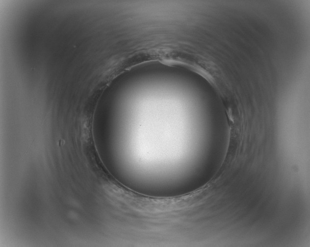 X0000067340037200603311137