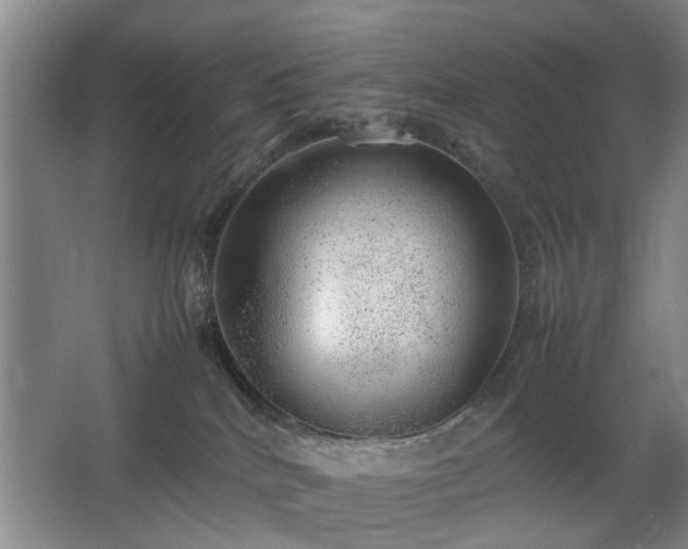 X0000067340040200603311137