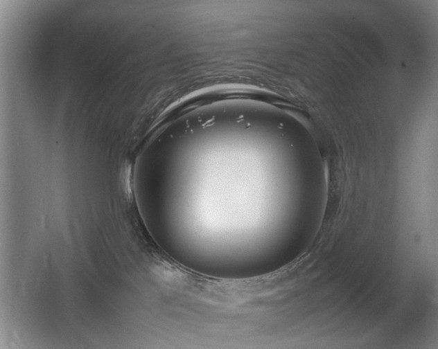 X0000067340041200603311137