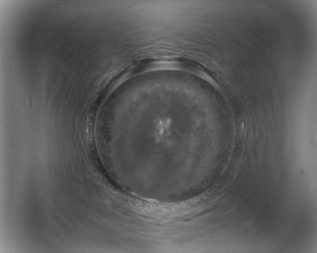 X0000067340043200603311137