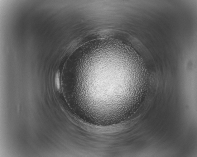 X0000067340046200603311137