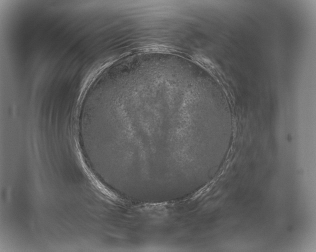 X0000067340049200603311136