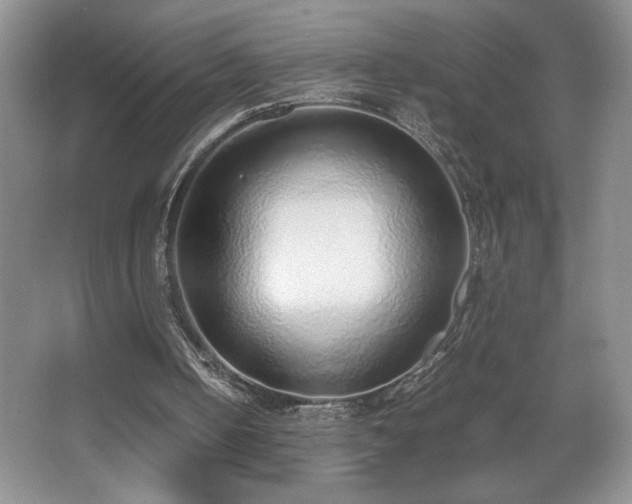 X0000067340050200603311136